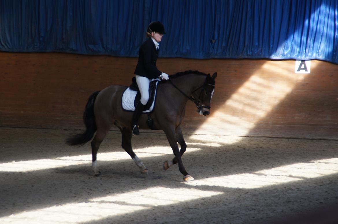 *Hestehavens Rideklub* Vores første LA6 billede 9