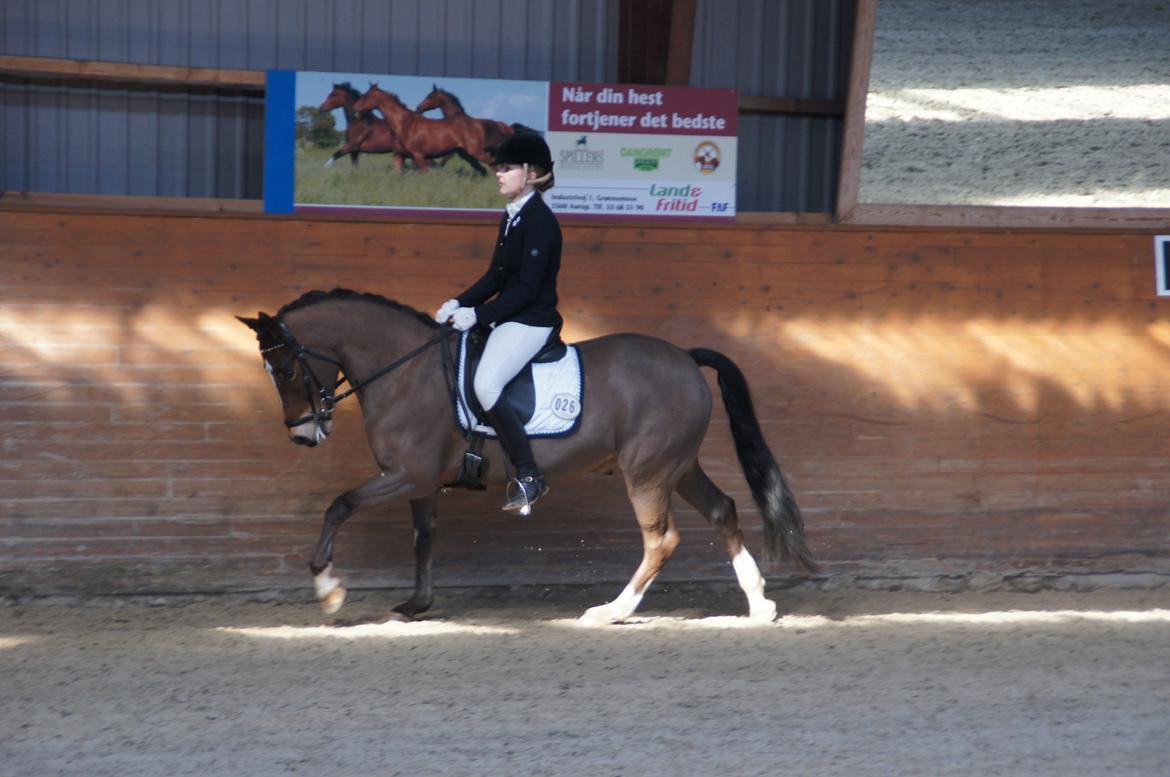 *Hestehavens Rideklub* Vores første LA6 billede 11