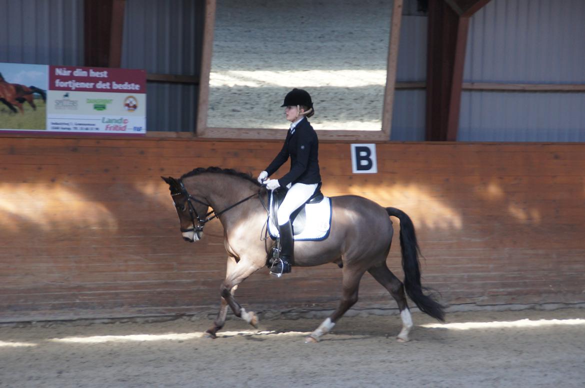 *Hestehavens Rideklub* Vores første LA6 billede 12