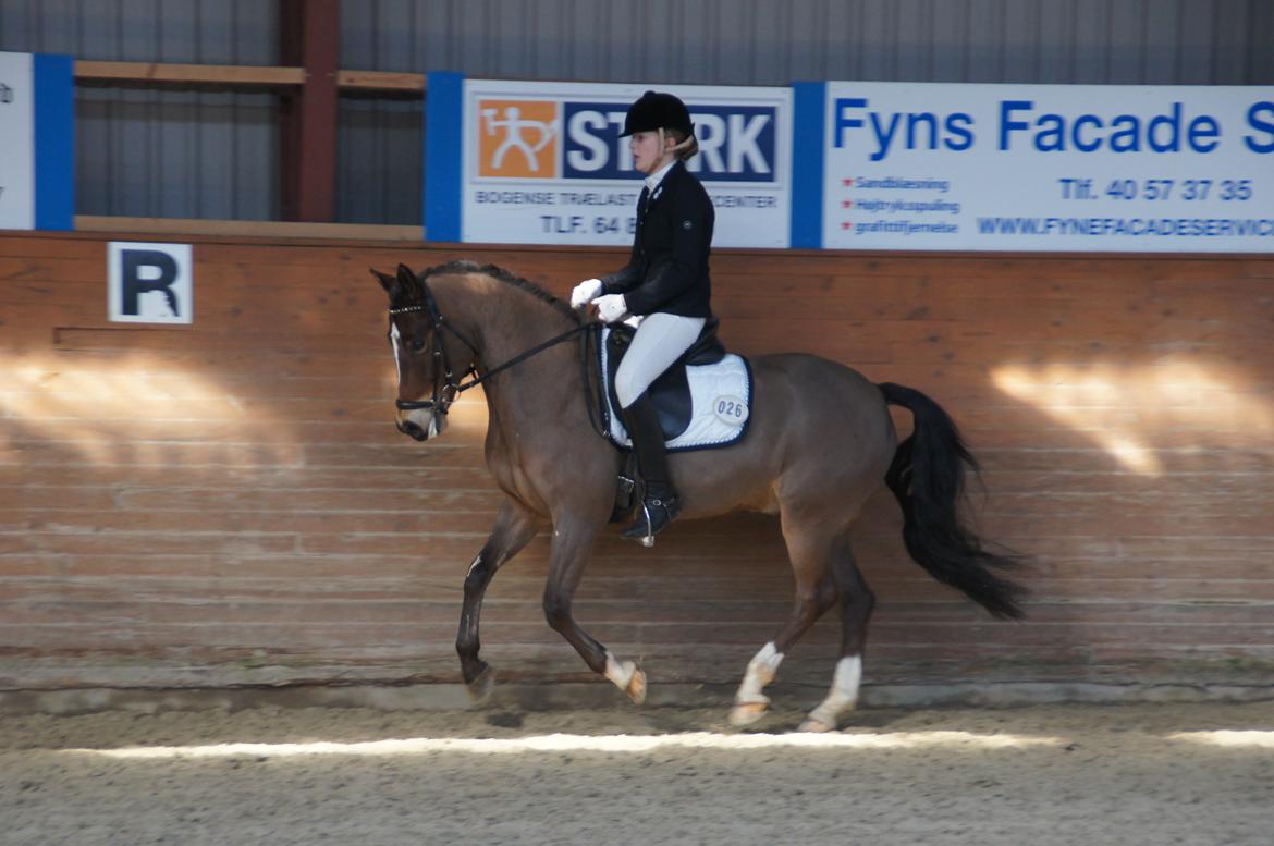 *Hestehavens Rideklub* Vores første LA6 billede 13