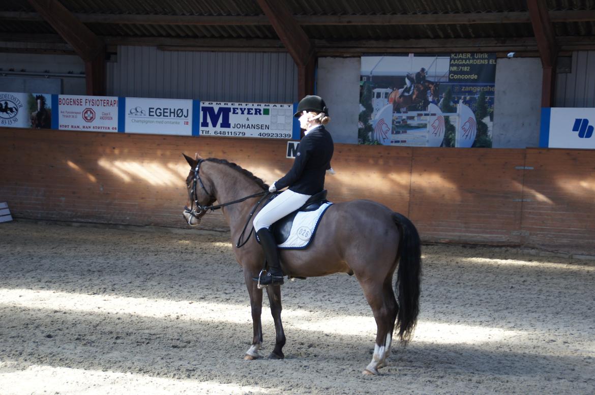 *Hestehavens Rideklub* Vores første LA6 billede 14
