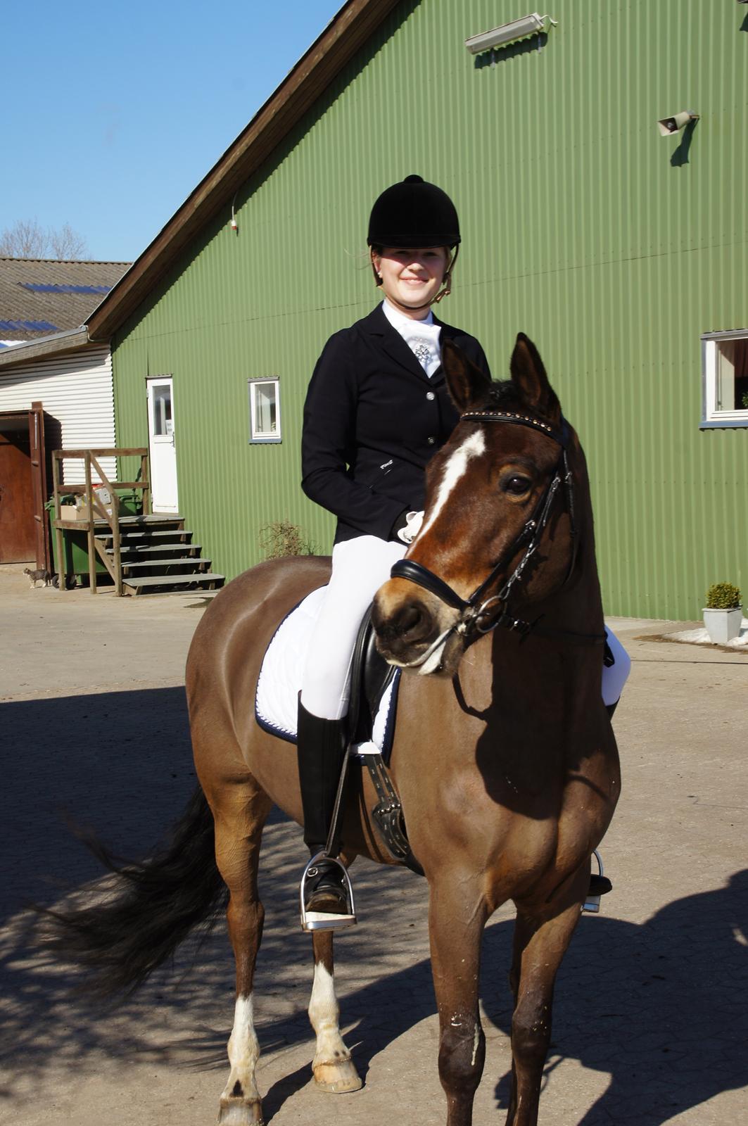 *Hestehavens Rideklub* Vores første LA6 billede 17