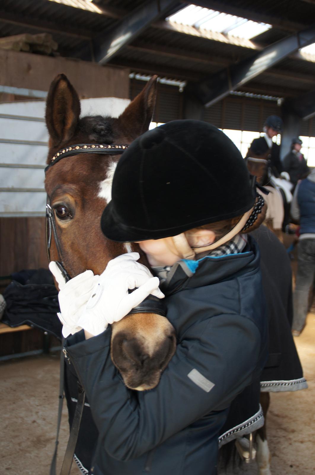 *Hestehavens Rideklub* Vores første LA6 billede 19