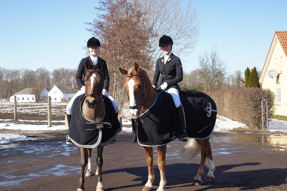 *Hestehavens Rideklub* Vores første LA6 billede 20