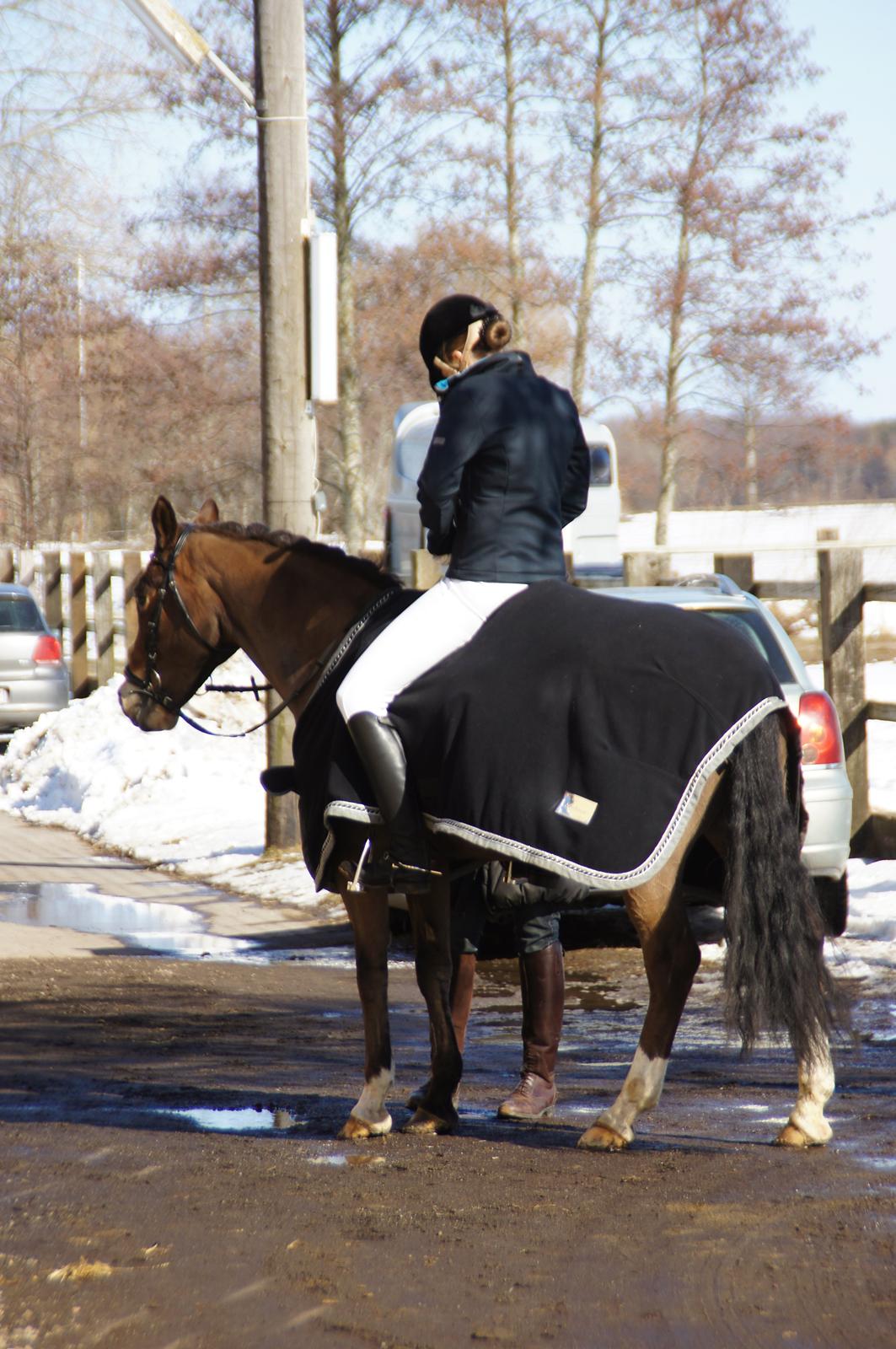 *Hestehavens Rideklub* Vores første LA6 billede 22