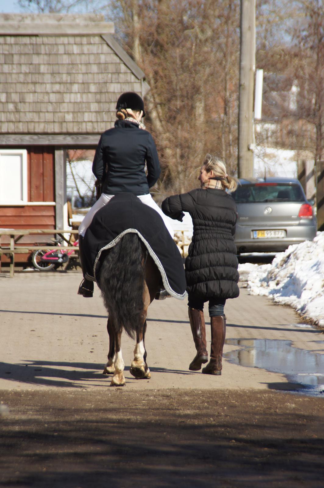 *Hestehavens Rideklub* Vores første LA6 billede 23