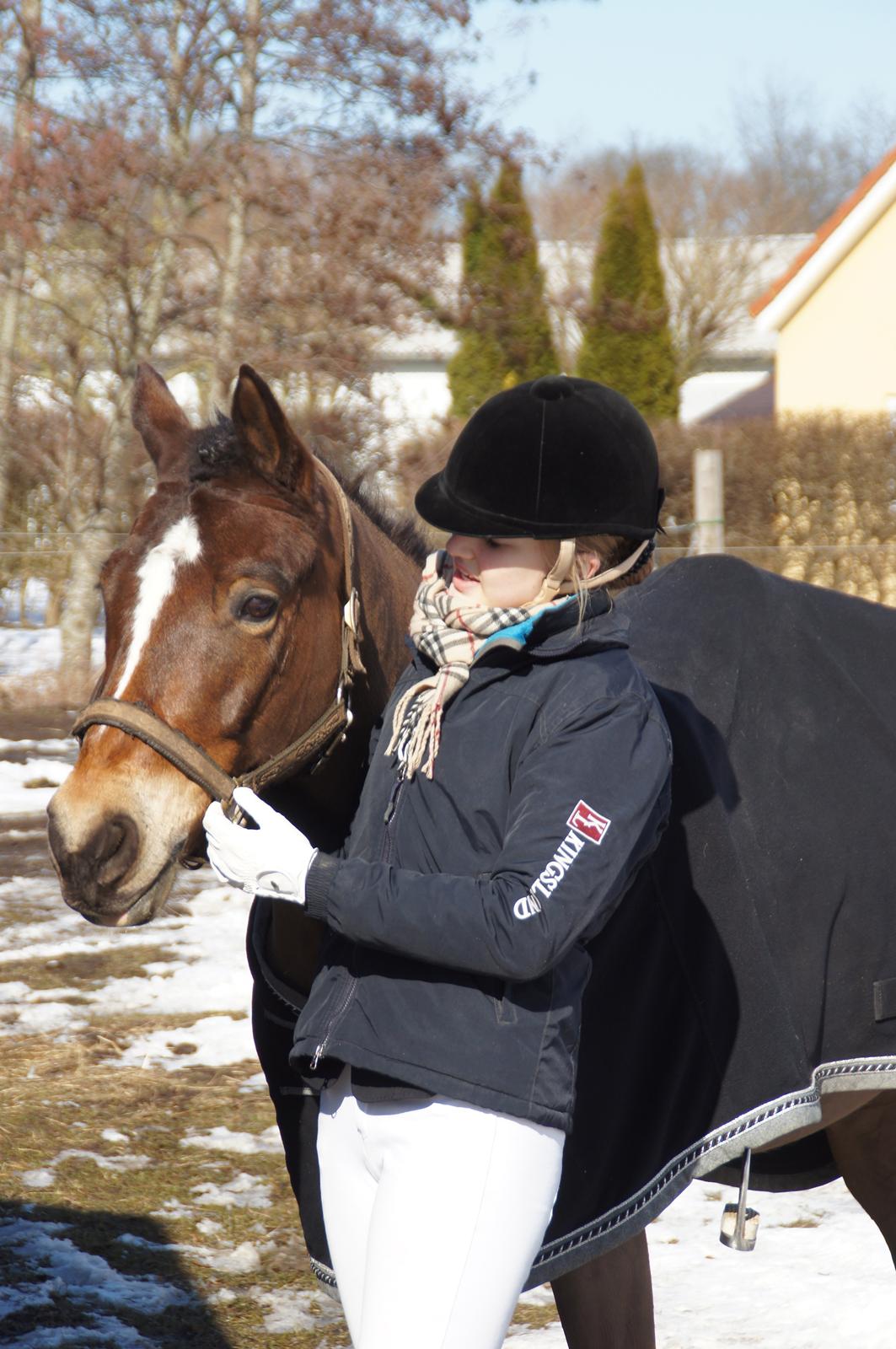 *Hestehavens Rideklub* Vores første LA6 billede 24