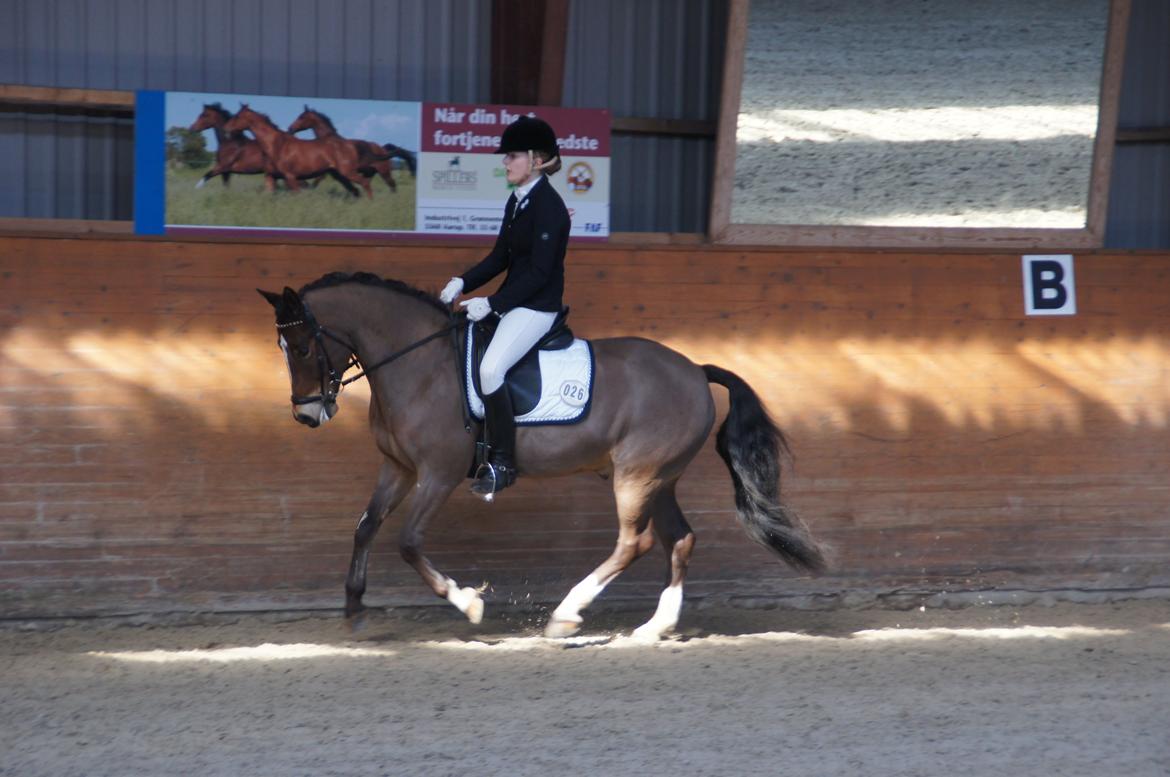 *Hestehavens Rideklub* Vores første LA6 billede 16