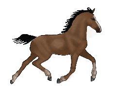 Lidt forskellige heste tegninger. - en lille følle billede 20