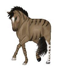 Lidt forskellige heste tegninger. - en et eller andet hest ^_^ billede 21