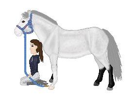 Lidt forskellige heste tegninger. - En skimmel agtig hest ^_^ billede 22