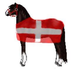 Lidt forskellige heste tegninger. - En hest med et tæppe med det danske flag.
Lavet d. 25/03/13 billede 23
