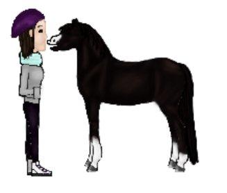 Lidt forskellige heste tegninger. - Jaah
Lavet d. 25/03/13 billede 24