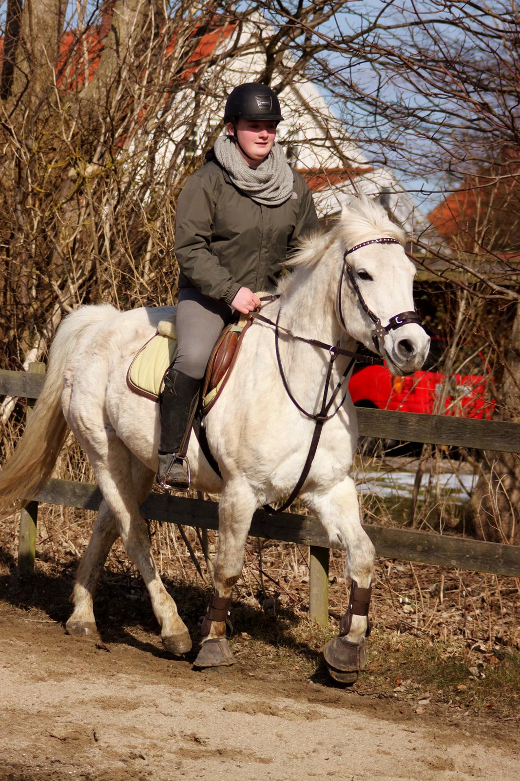 Alfred kan hoppe som en loppe :p billede 1