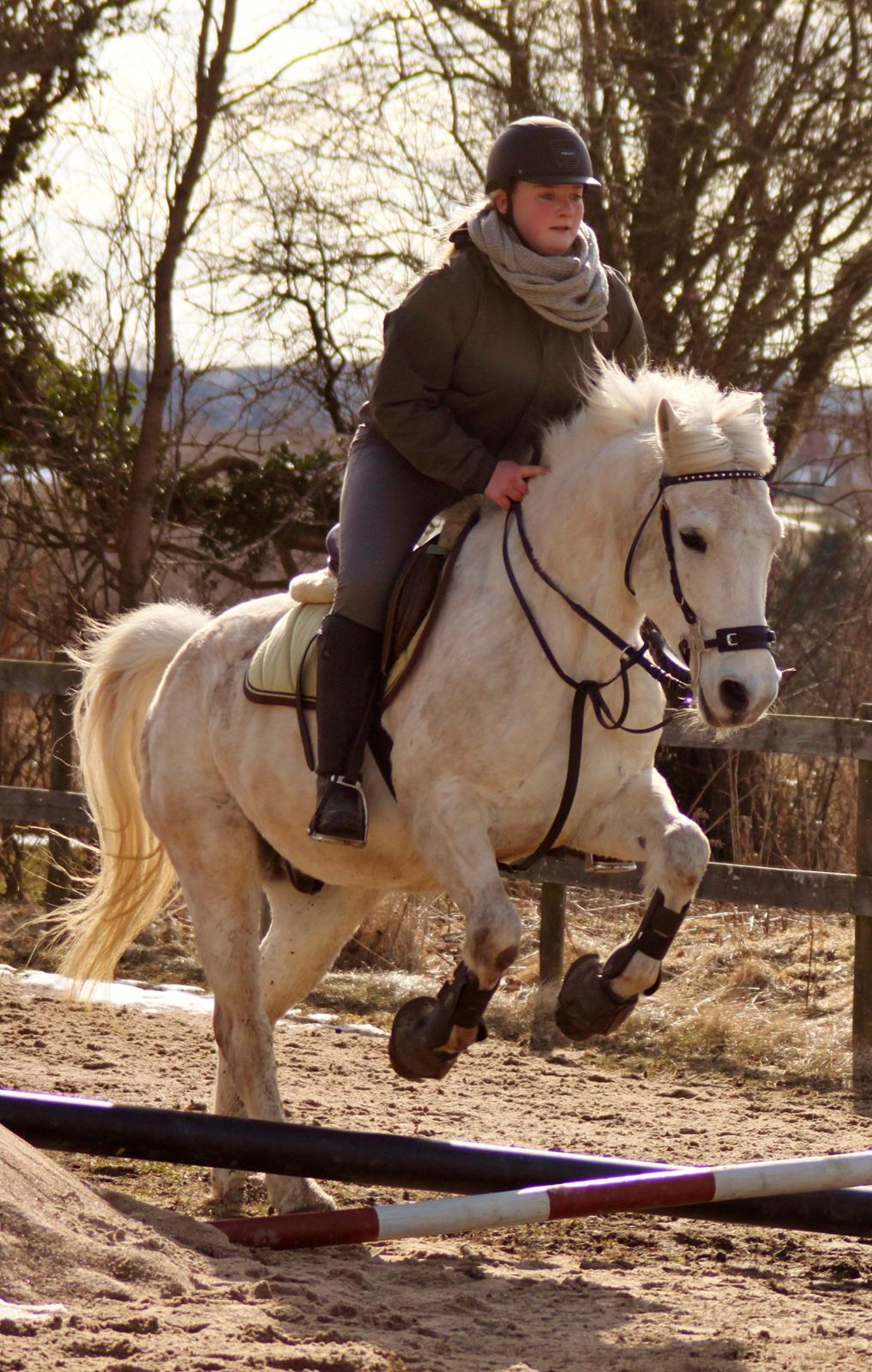 Alfred kan hoppe som en loppe :p billede 2