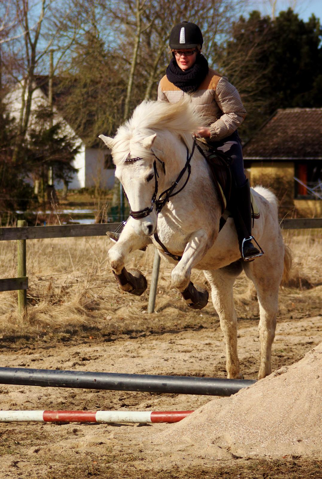 Alfred kan hoppe som en loppe :p billede 3