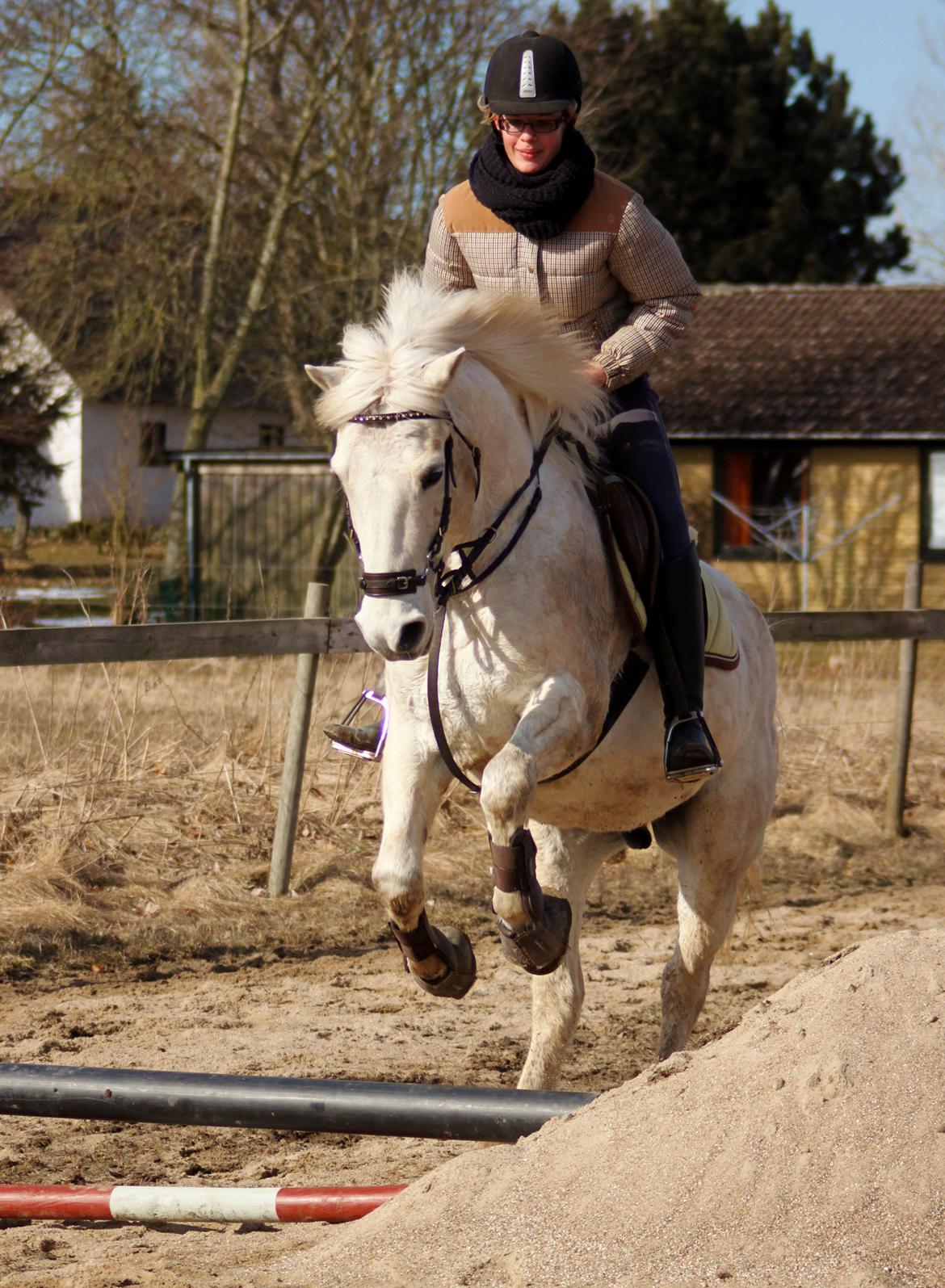 Alfred kan hoppe som en loppe :p billede 4