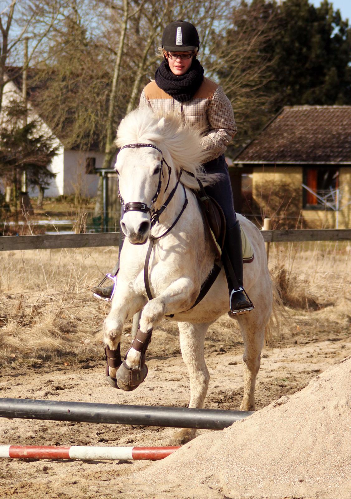 Alfred kan hoppe som en loppe :p billede 5