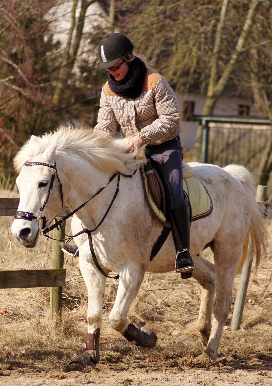 Alfred kan hoppe som en loppe :p billede 7