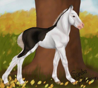 Trold, den fiktive hest! - Trold, da han netop var ankommet til stalden.  billede 1