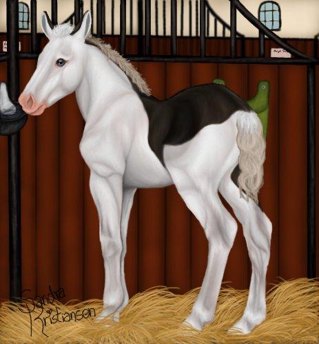 Trold, den fiktive hest! - Trold i sin boks, hvor han venter på besøg fra dyrlægen.  billede 2