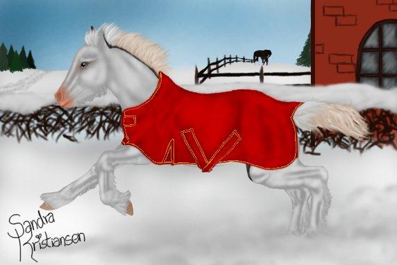 Trold, den fiktive hest! - Gennem vinterens koldeste dag, måtte han have et dækken på. Resten kunne han løbe sig til :) billede 3