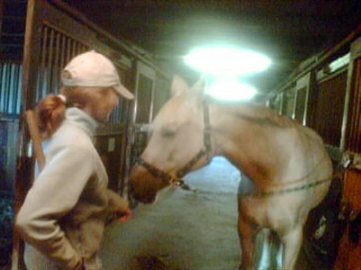 Heste fra Langstruplund - Liv & Bailey på staldgangen (: billede 3