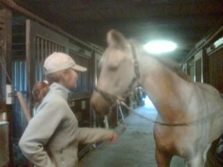 Heste fra Langstruplund - Liv & Baileyen igen (; billede 6