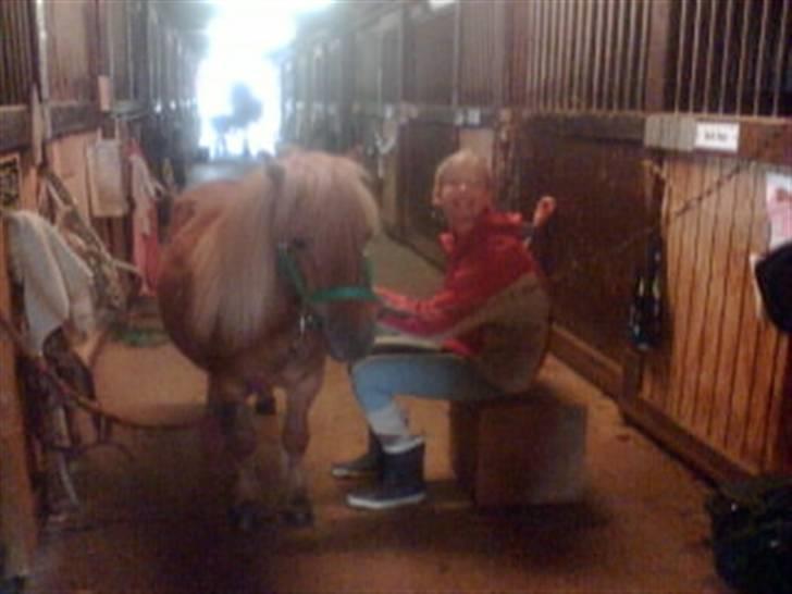 Heste fra Langstruplund - Matilde der strigler snefnug, men hun måtte sidde ned på en kasse fordi hun er så høj i forhold til bette snefnug :b billede 10