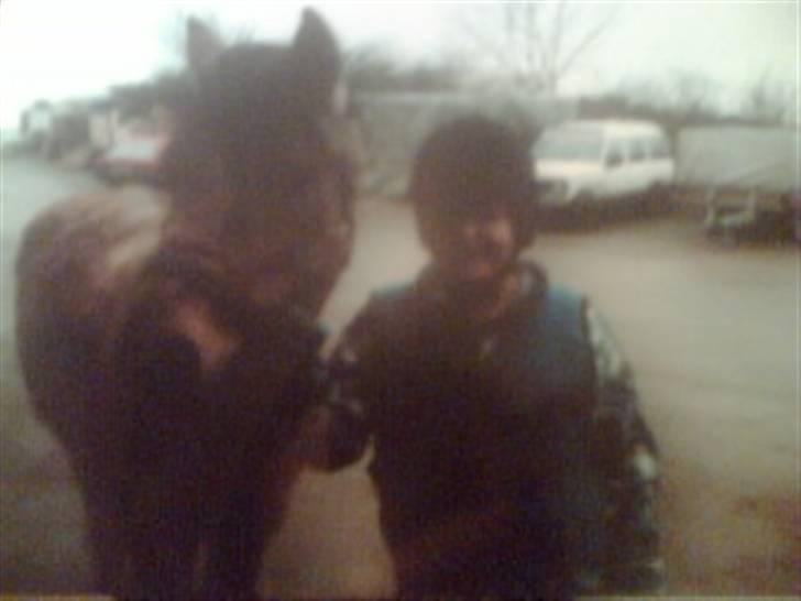 Heste fra Langstruplund - Mig & Cosmos, engang for ca 2-3 år siden, hvor jeg red ham xD billede 11