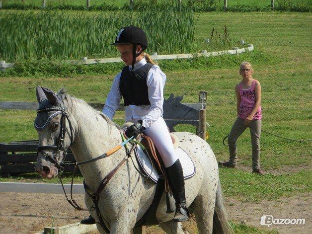 Zuper Zebran billede 6