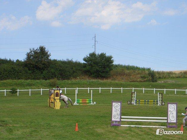 Zuper Zebran billede 7