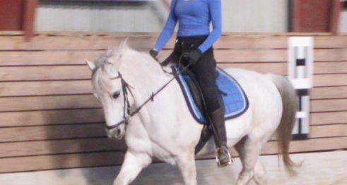 Gymnastik Spring :D billede 17