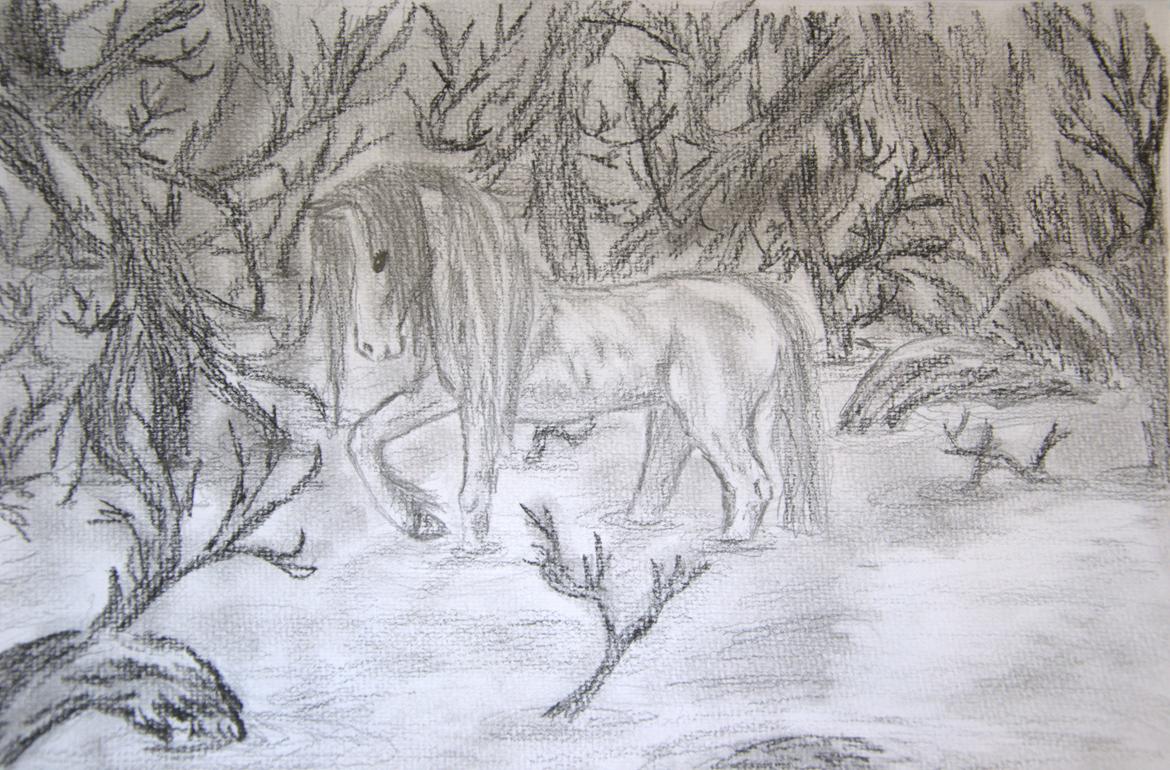 Mine tegninger:) - Fri hånd (2012) billede 14