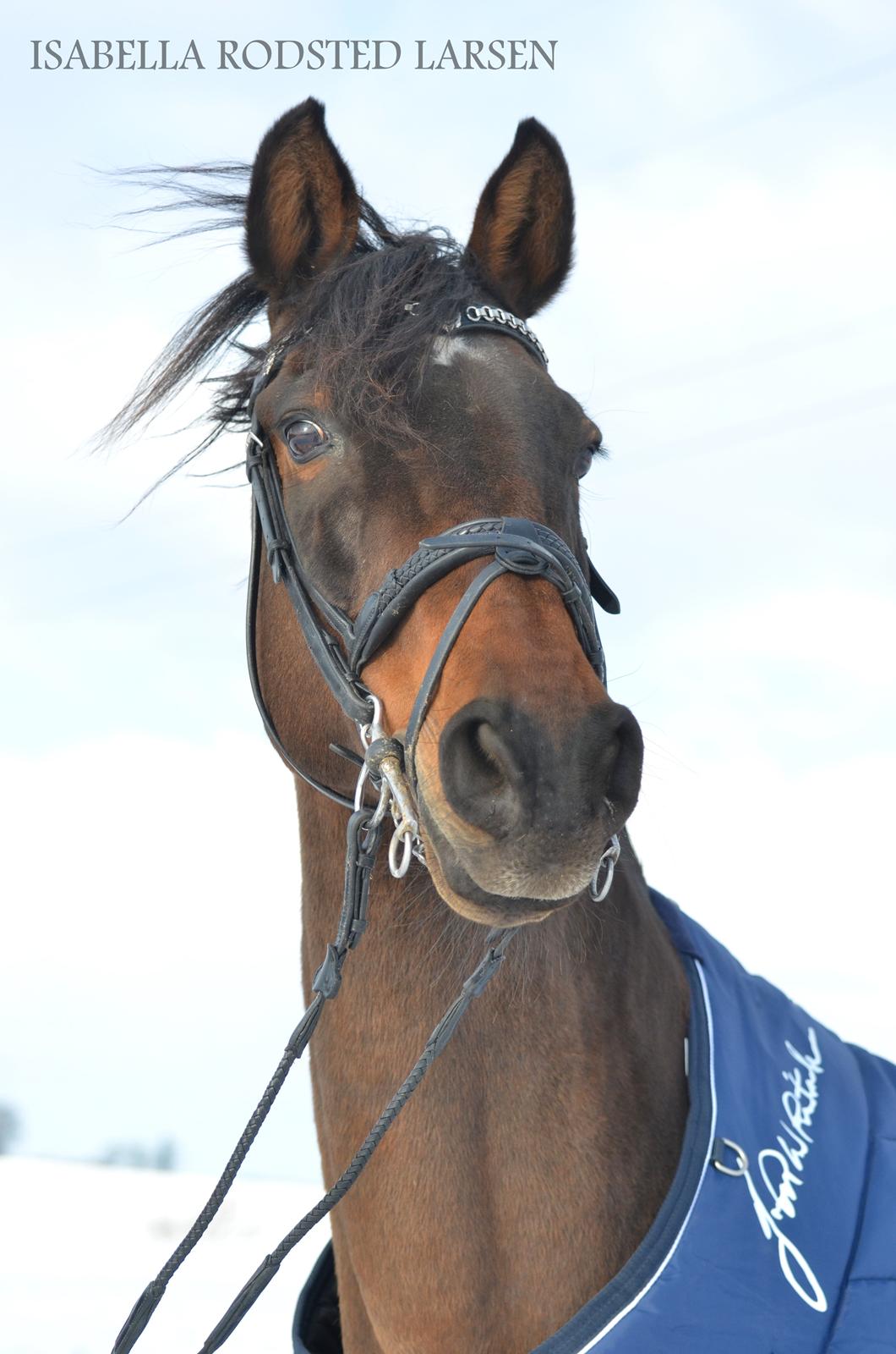 Maria B. Frederiksen & Reach Out 16 billede 6