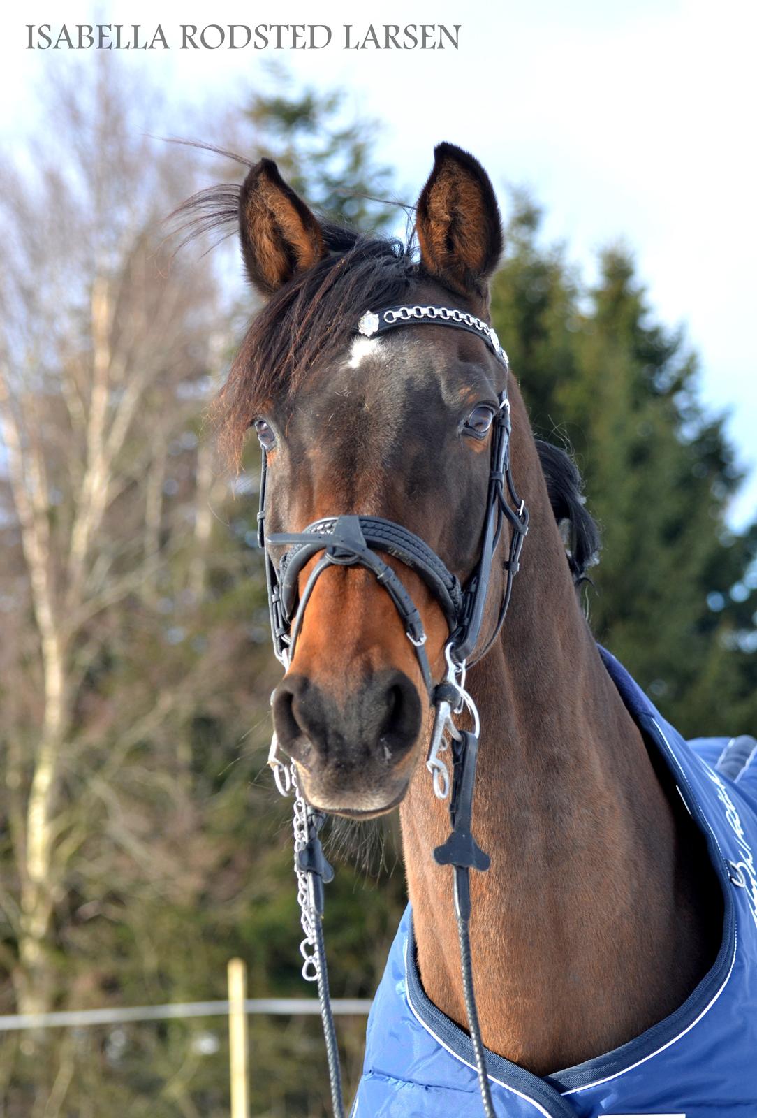 Maria B. Frederiksen & Reach Out 16 billede 14