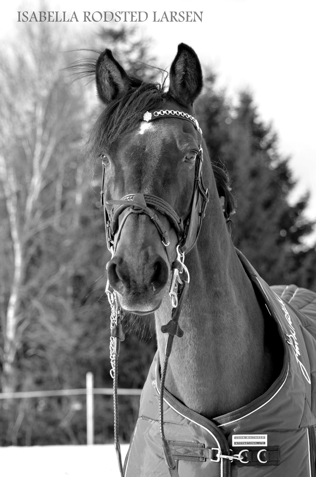 Maria B. Frederiksen & Reach Out 16 billede 15