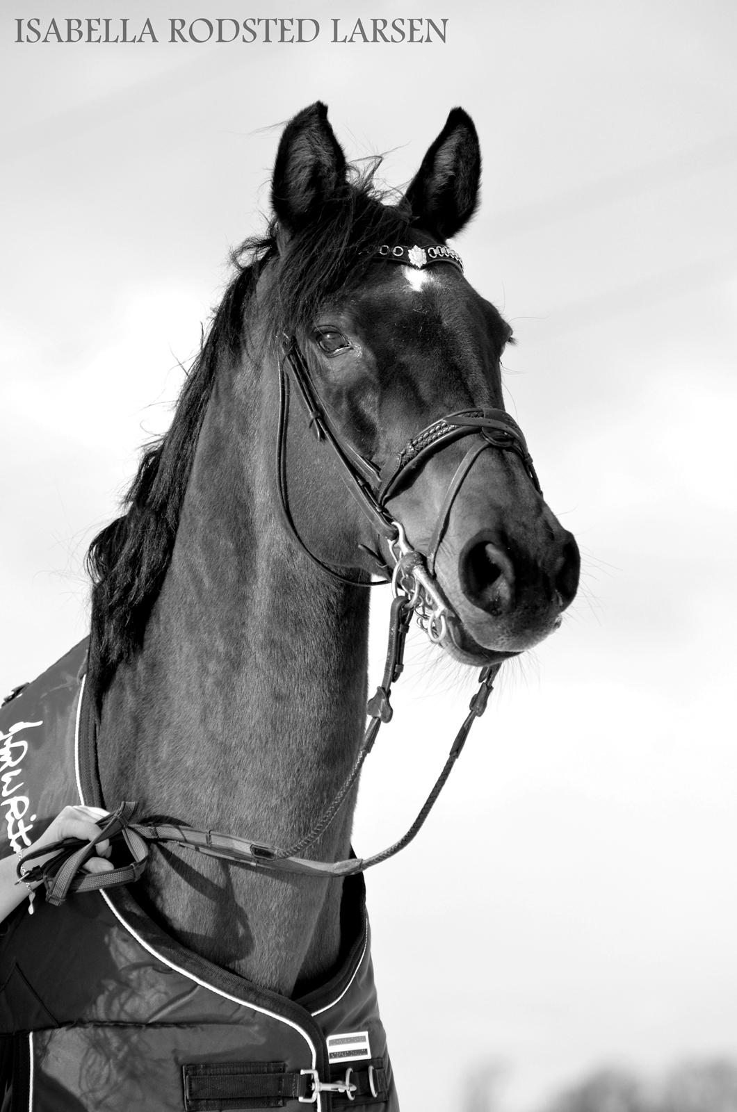 Maria B. Frederiksen & Reach Out 16 billede 18