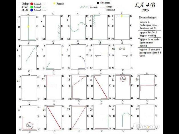 Dressur Programmer  - LA4 billede 6