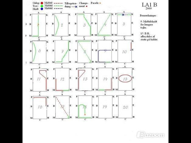 Dressur Programmer  - LA1 billede 5