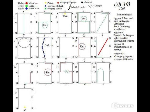 Dressur Programmer  - Lb3 billede 4
