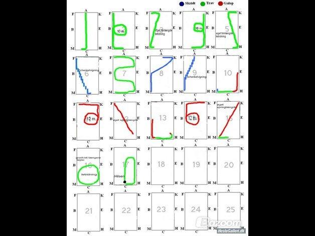 Dressur Programmer  - LB1 billede 3