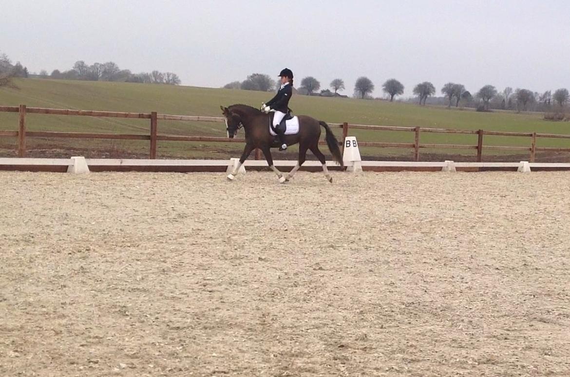 Glamsbjerg rideklub 14/4 2013 billede 22