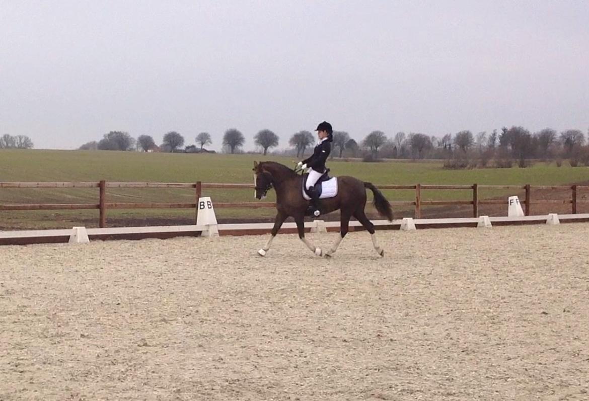 Glamsbjerg rideklub 14/4 2013 billede 21