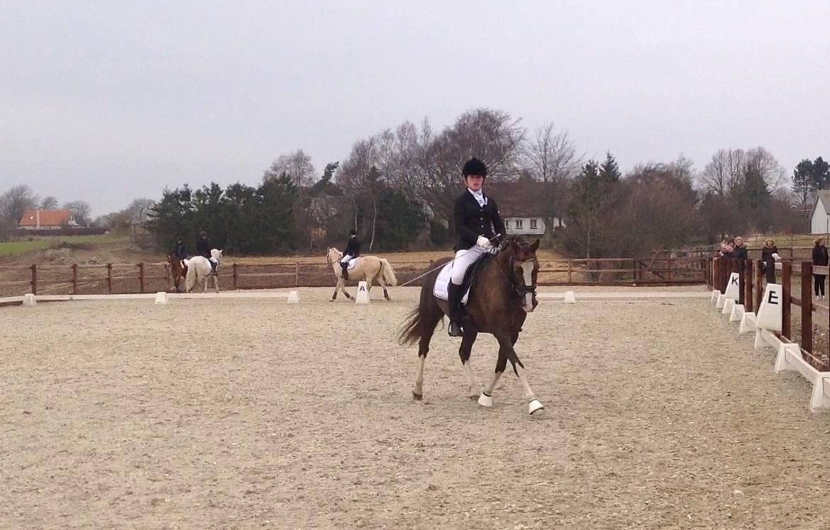 Glamsbjerg rideklub 14/4 2013 billede 20