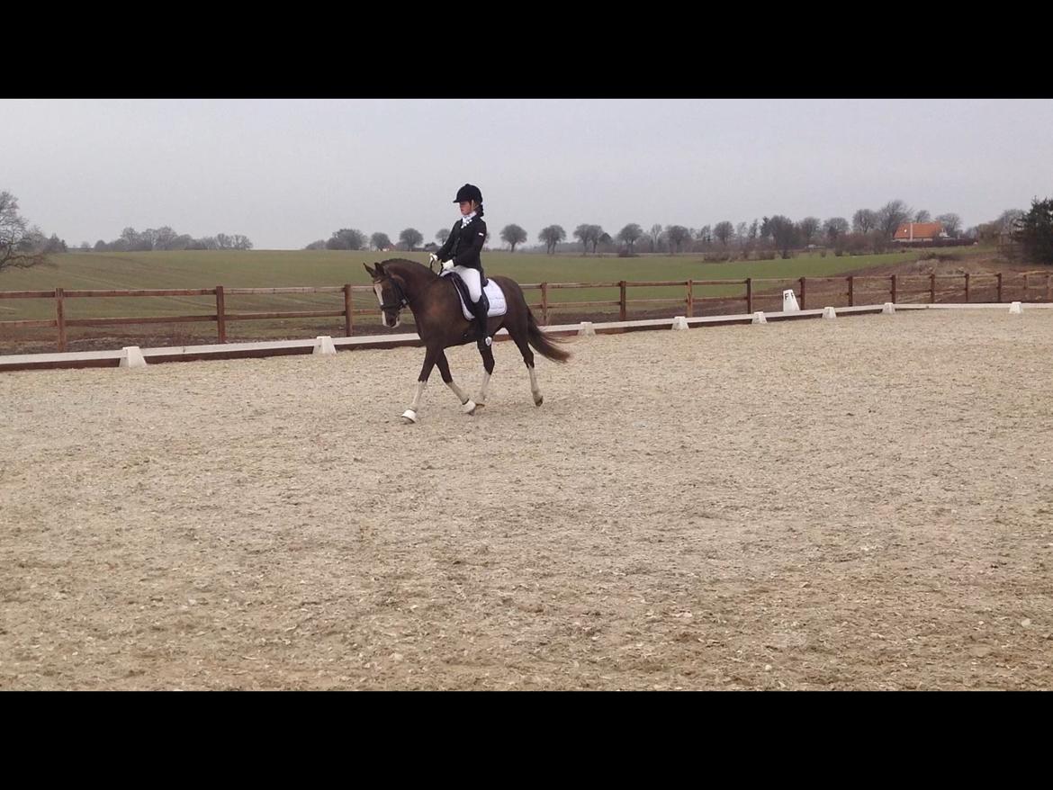 Glamsbjerg rideklub 14/4 2013 billede 12