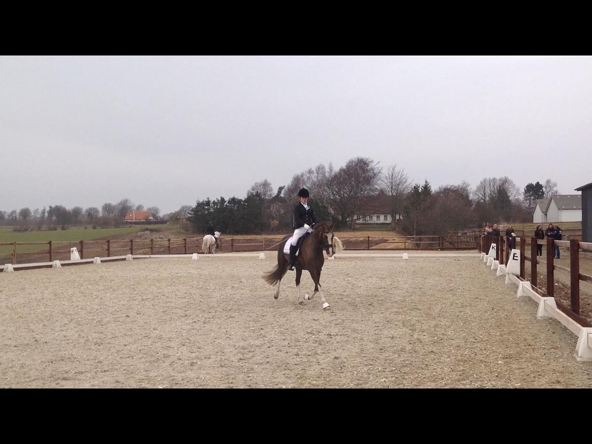 Glamsbjerg rideklub 14/4 2013 billede 19