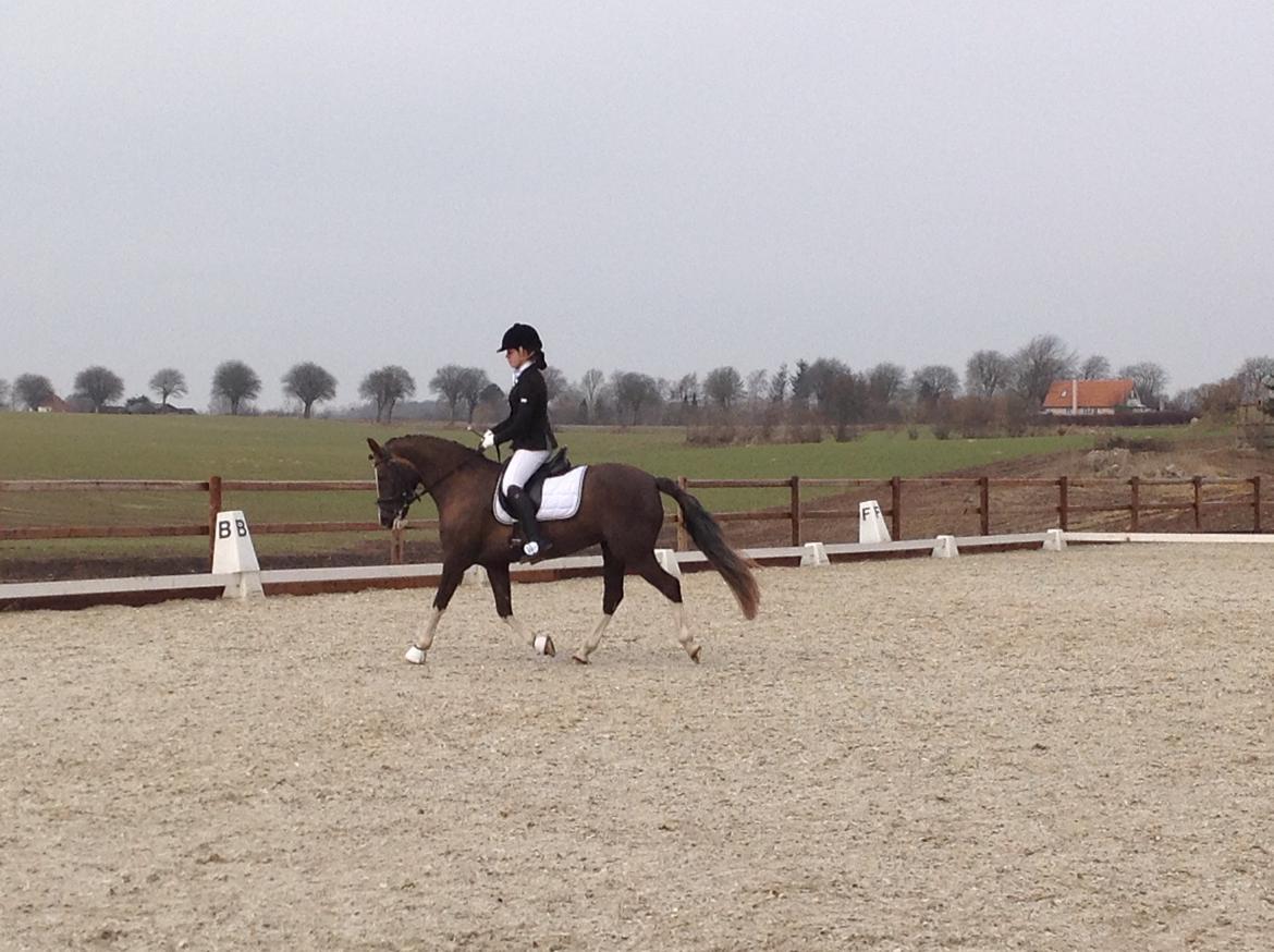 Glamsbjerg rideklub 14/4 2013 billede 16