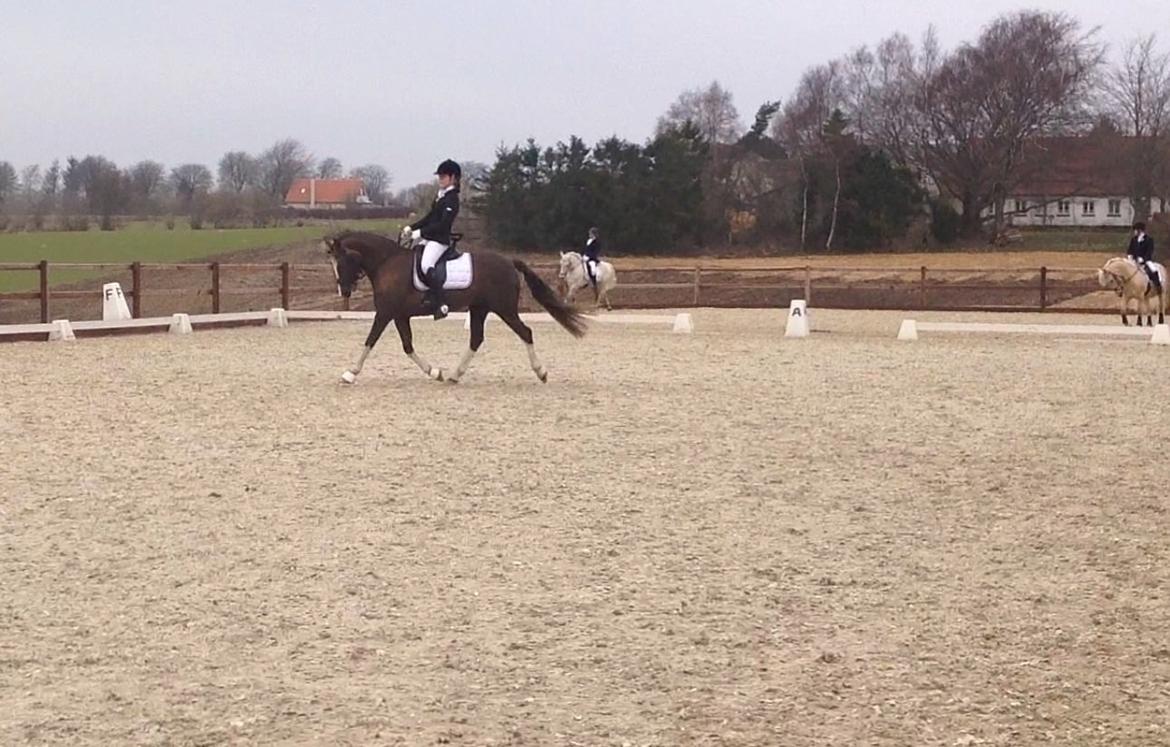 Glamsbjerg rideklub 14/4 2013 billede 15