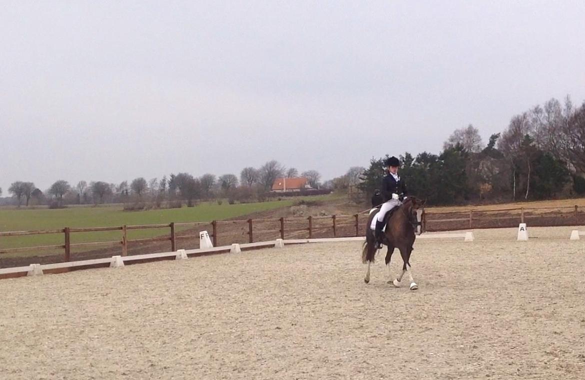 Glamsbjerg rideklub 14/4 2013 billede 14